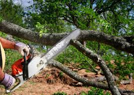 Best Lawn Grading and Leveling  in Rapid Valley, SD